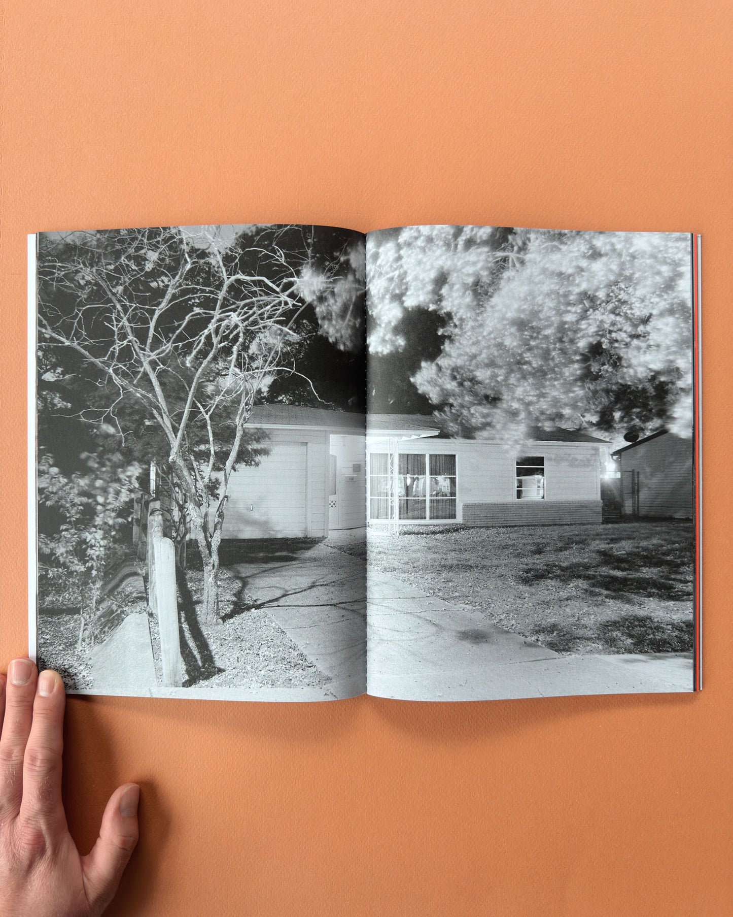 Four Days in November (Signed)