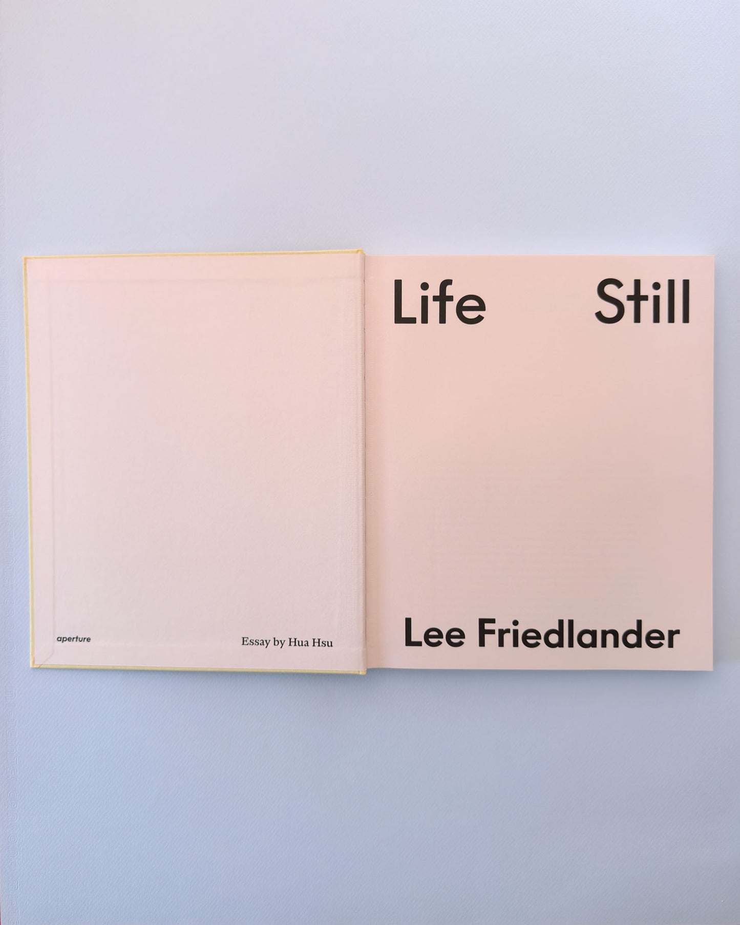 Lee Friedlander: Life Still