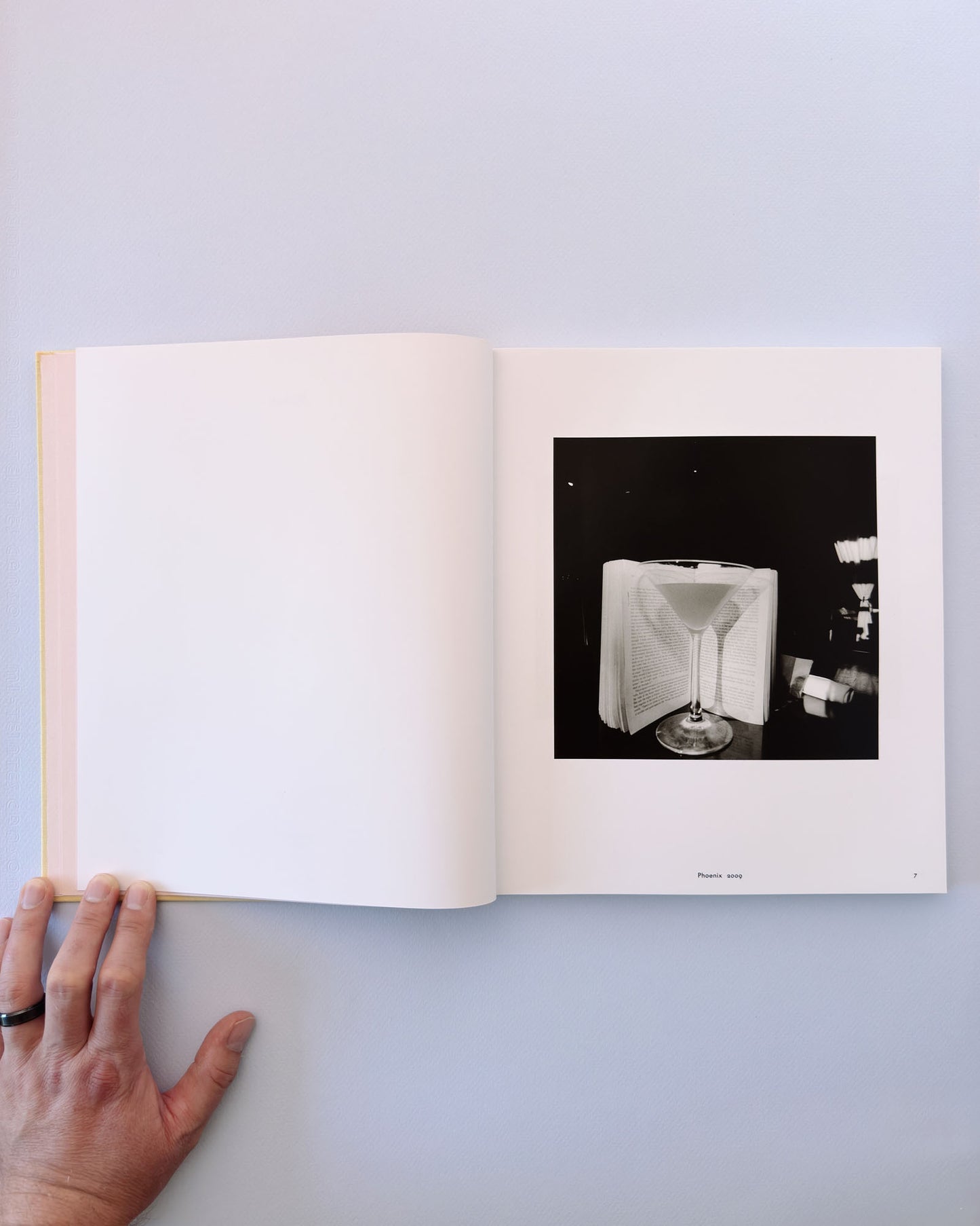 Lee Friedlander: Life Still