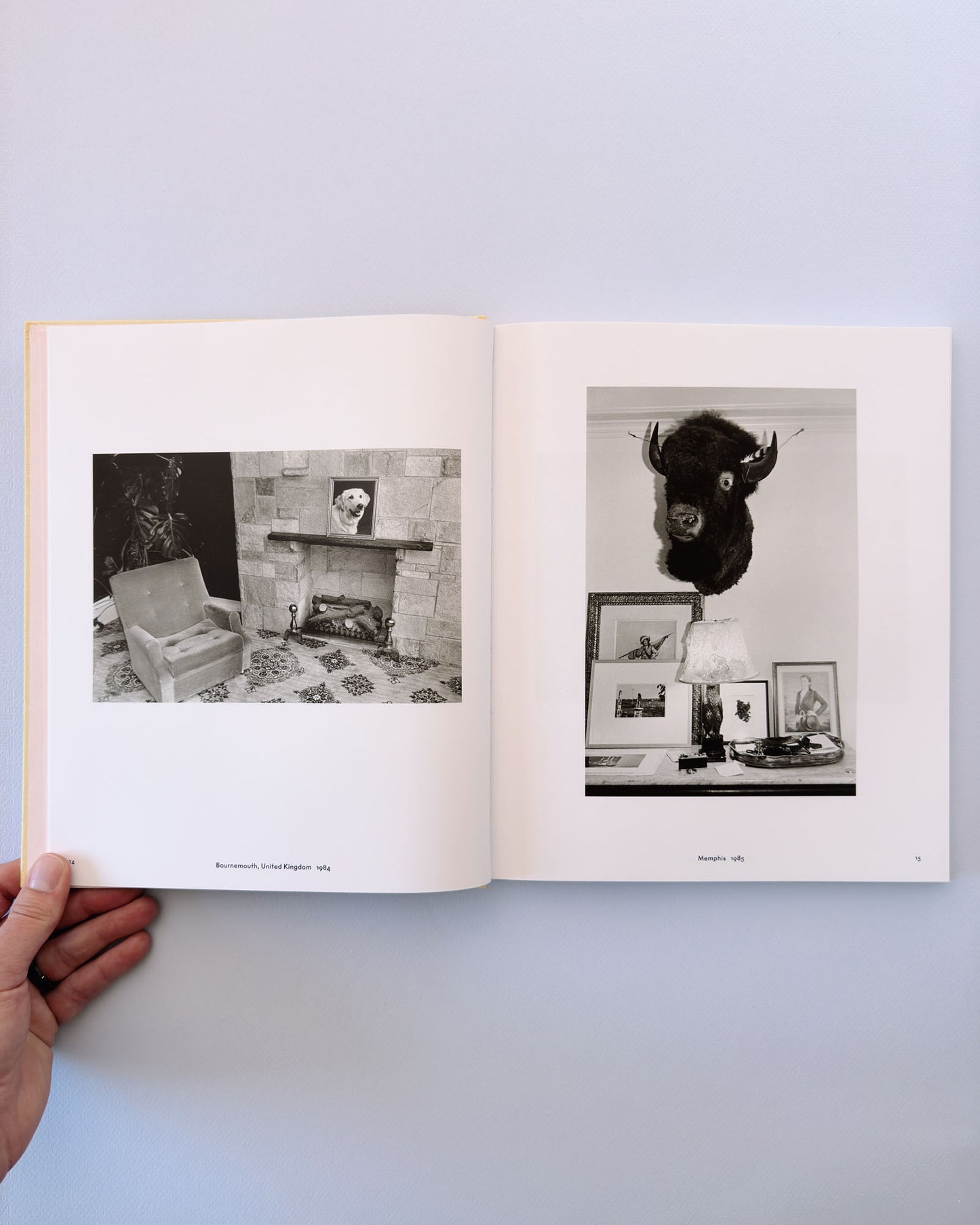 Lee Friedlander: Life Still