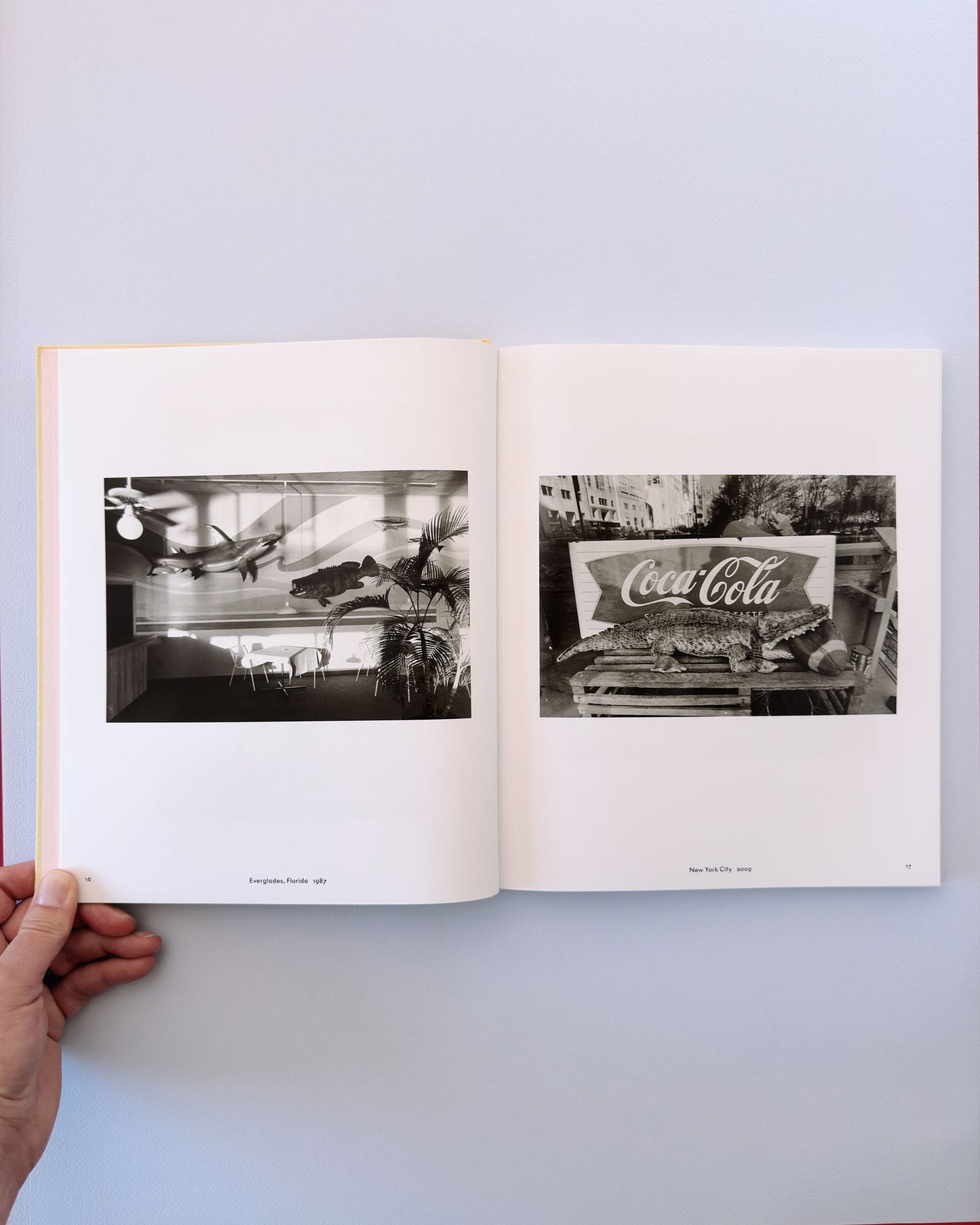 Lee Friedlander: Life Still