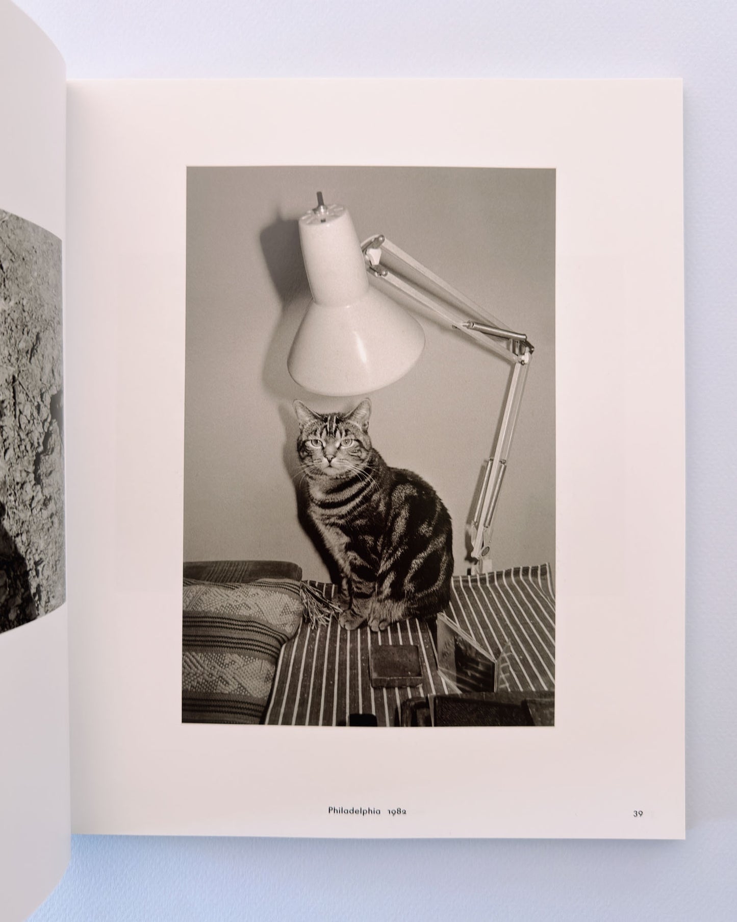 Lee Friedlander: Life Still