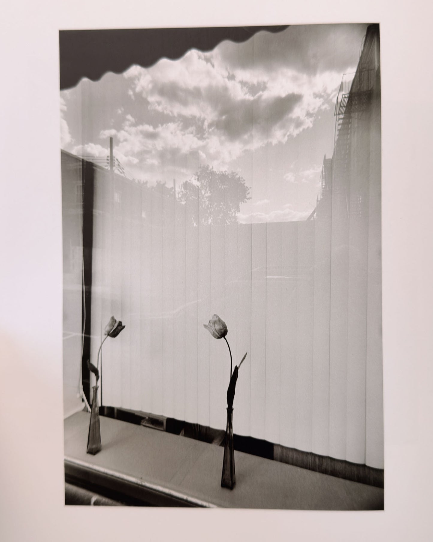 Lee Friedlander: Life Still
