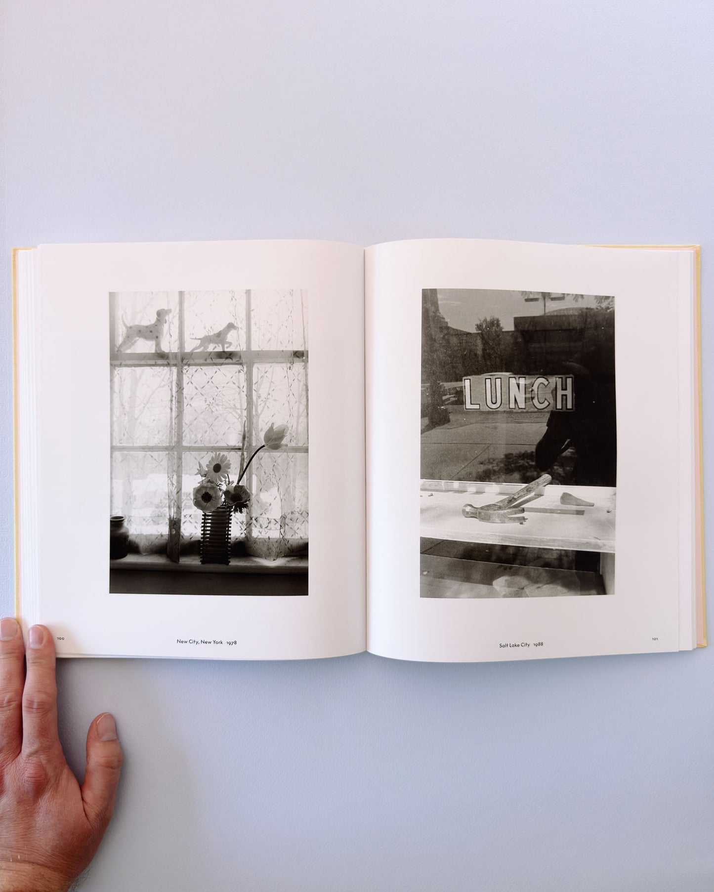 Lee Friedlander: Life Still