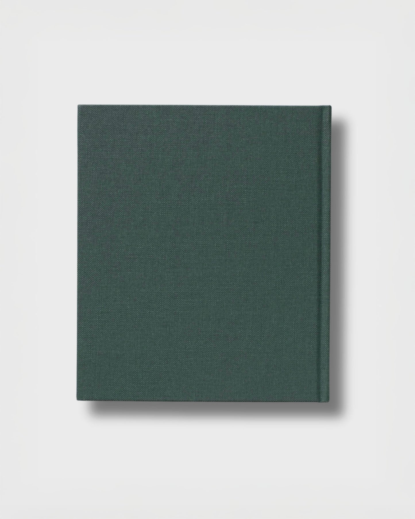 Lost Coast (Second Edition)