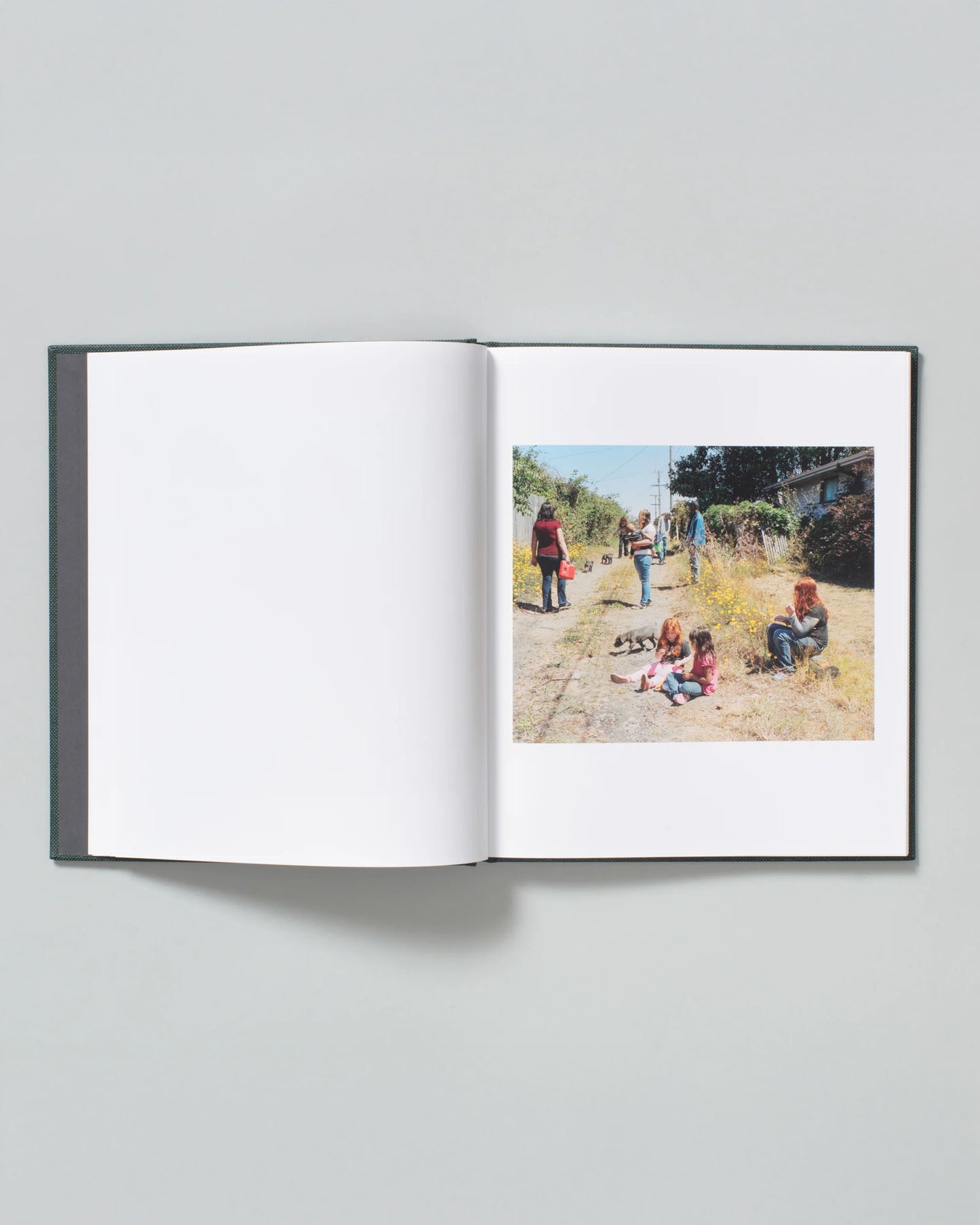 Lost Coast (Second Edition)