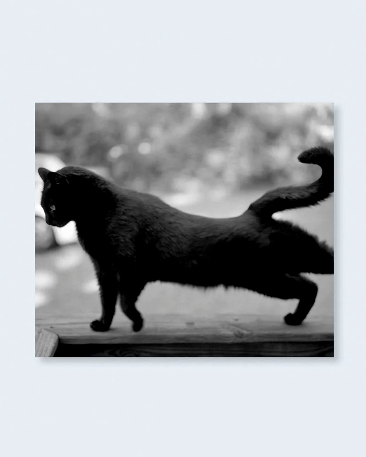 Low-Fi Cats (PRE-ORDER)