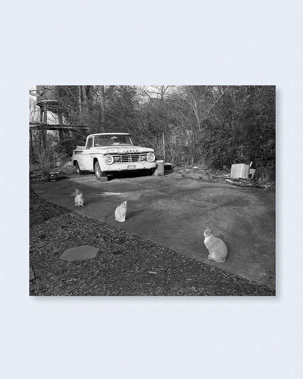 Low-Fi Cats (PRE-ORDER)