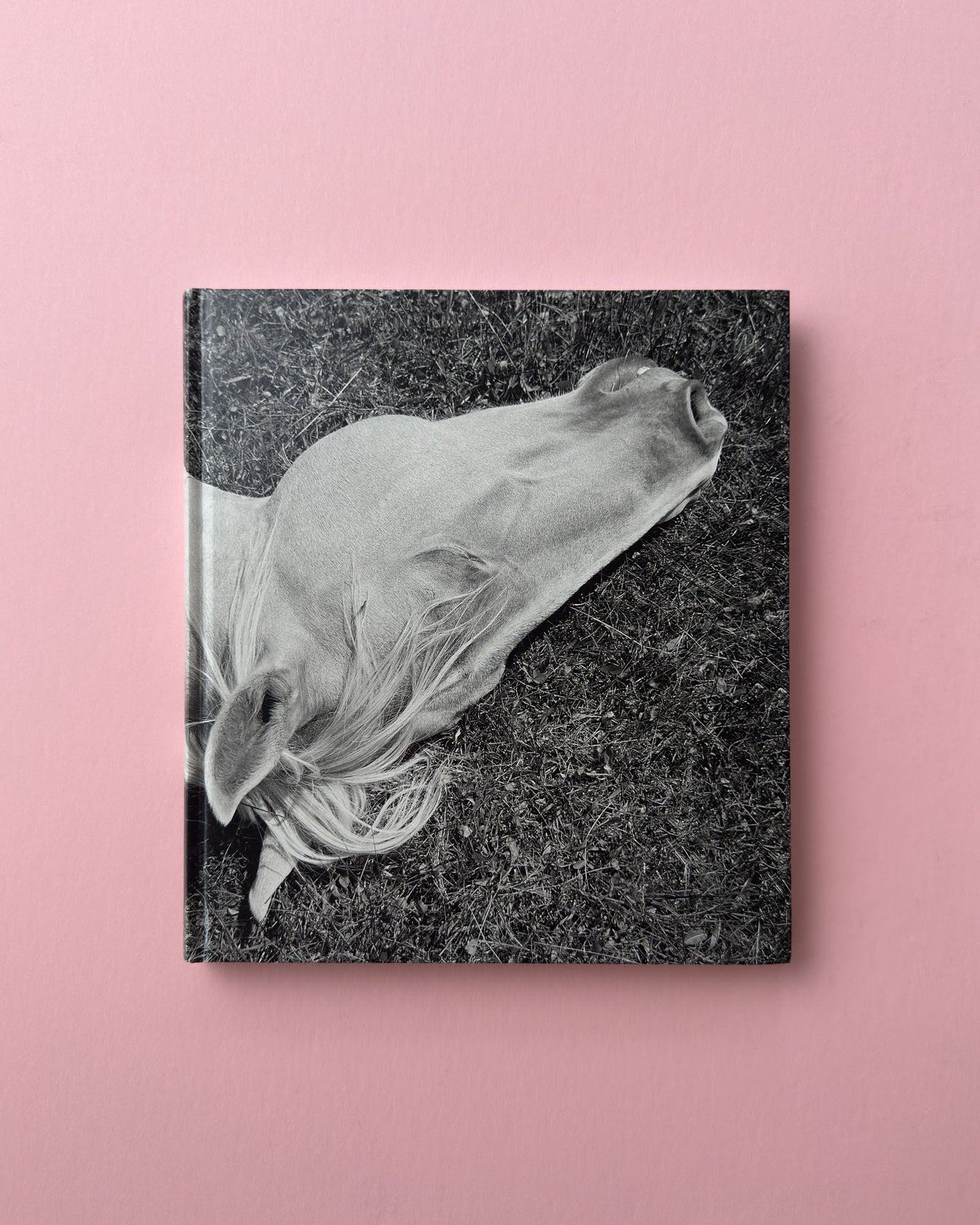 Megalith-Still