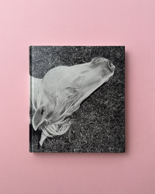 Megalith-Still