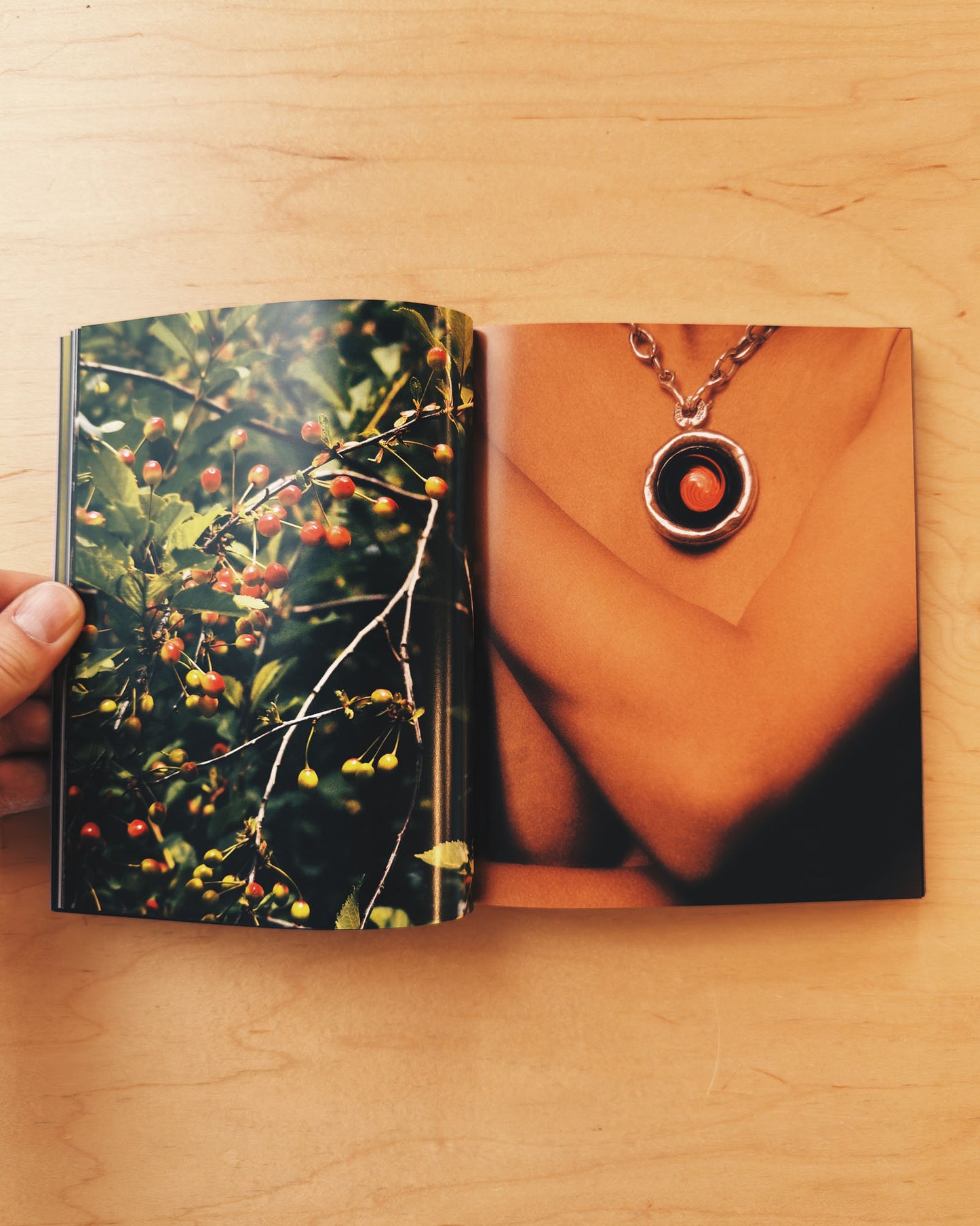 Colorful photo book from Mack Books. nice affordable fun title! Very unique images!