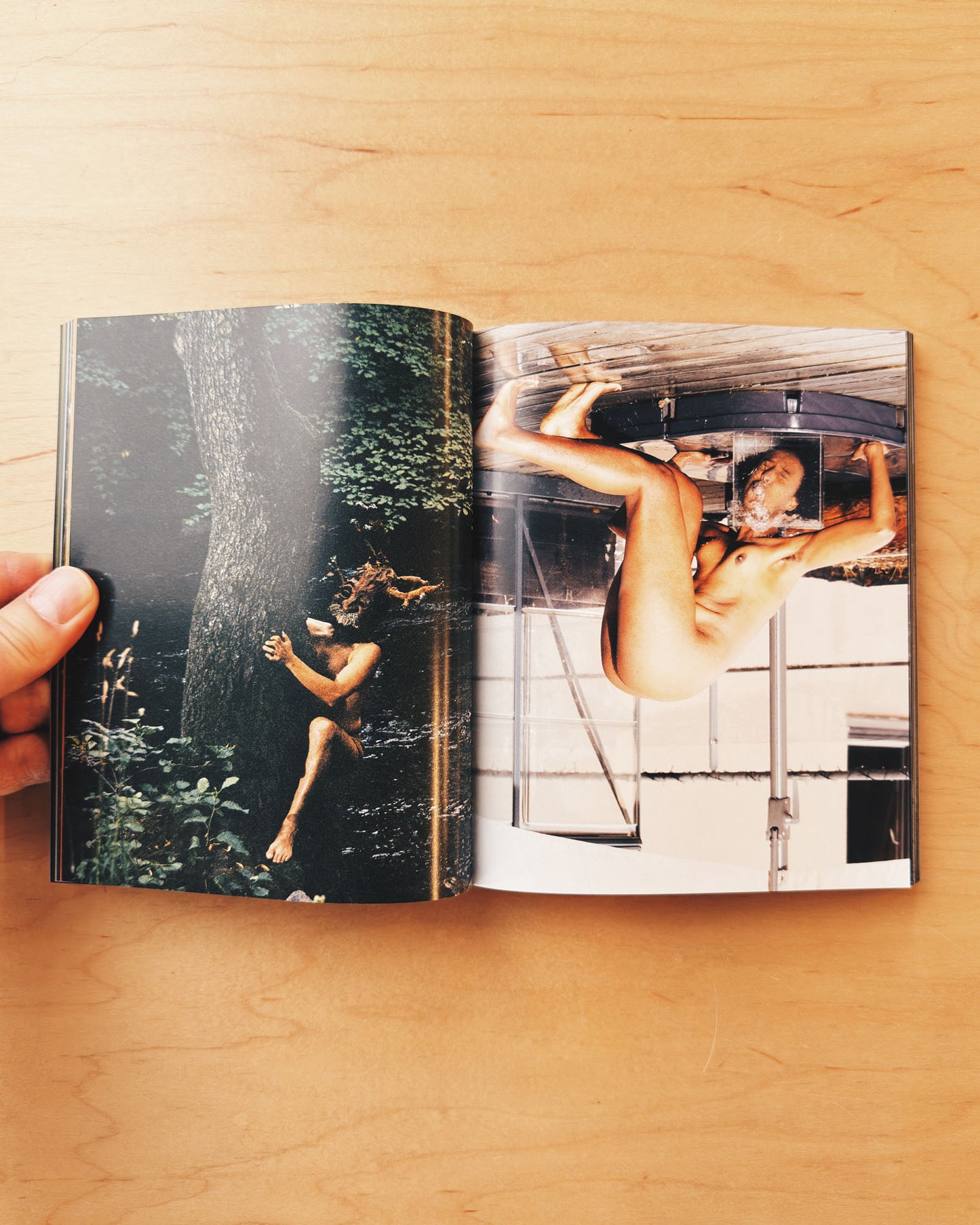 Colorful photo book from Mack Books. nice affordable fun title! Very unique images!