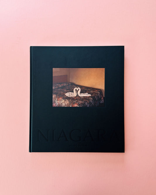 Classic photo book Niagara by Alec Soth. Made with large format film photography.
