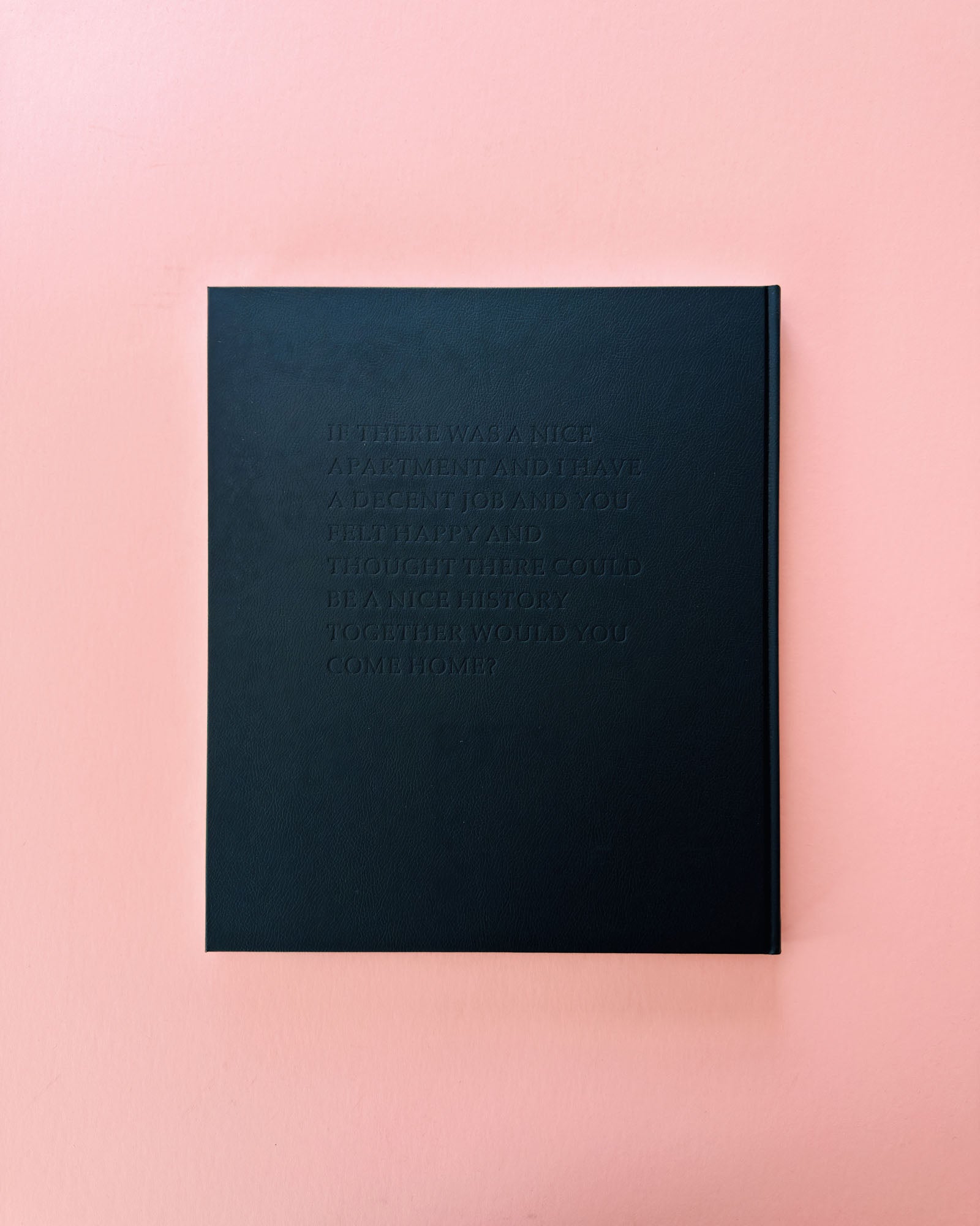 Classic photo book Niagara by Alec Soth. Made with large format film photography.