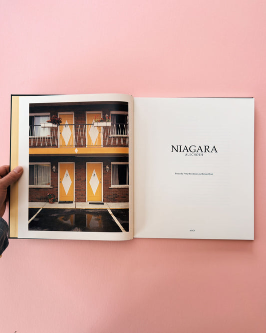 Classic photobook Niagara by Alec Soth. Made with large format film photography.