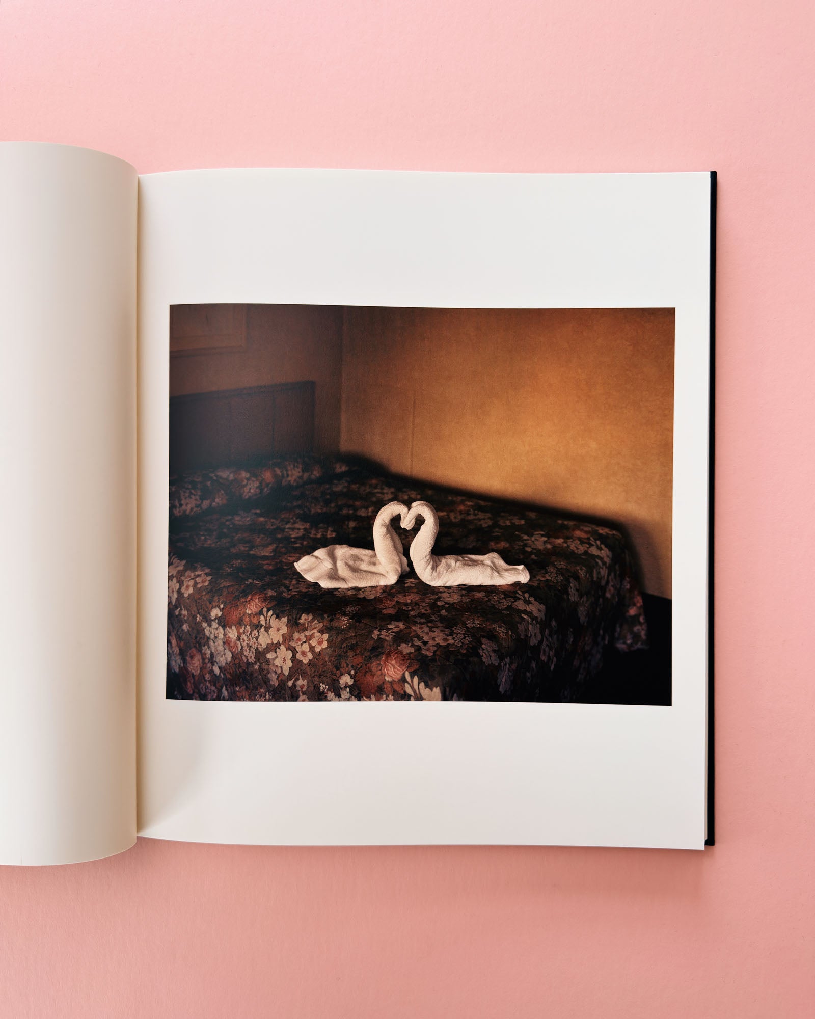 Open book showing a photograph of two swans on a dark surface with a warm-toned background.