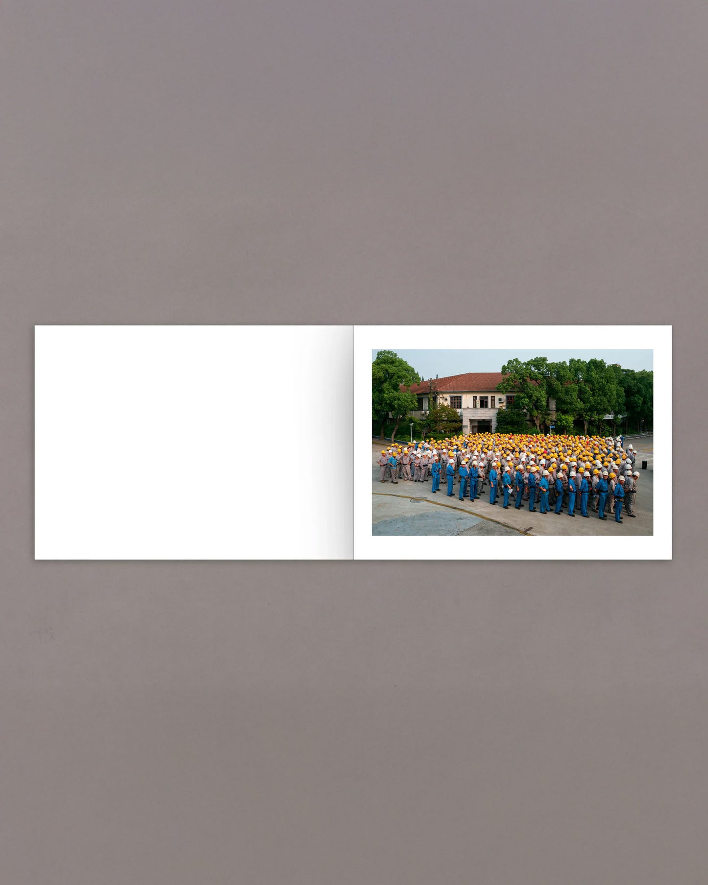 Mother's Land (PRE-ORDER)