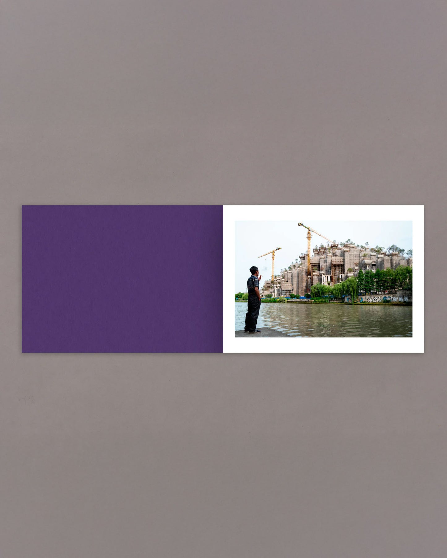 Mother's Land (PRE-ORDER)