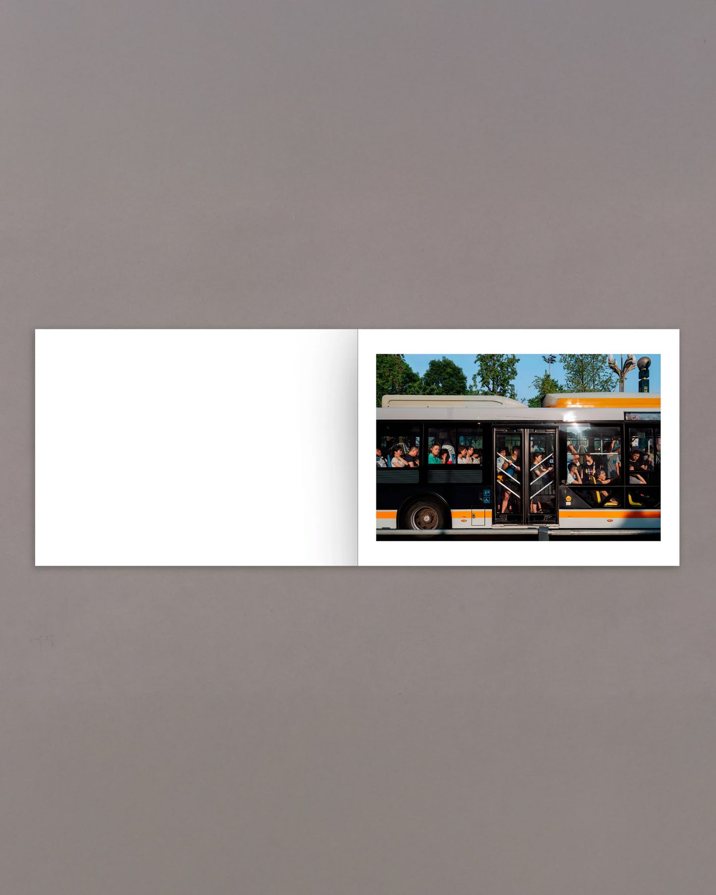 Mother's Land (PRE-ORDER)