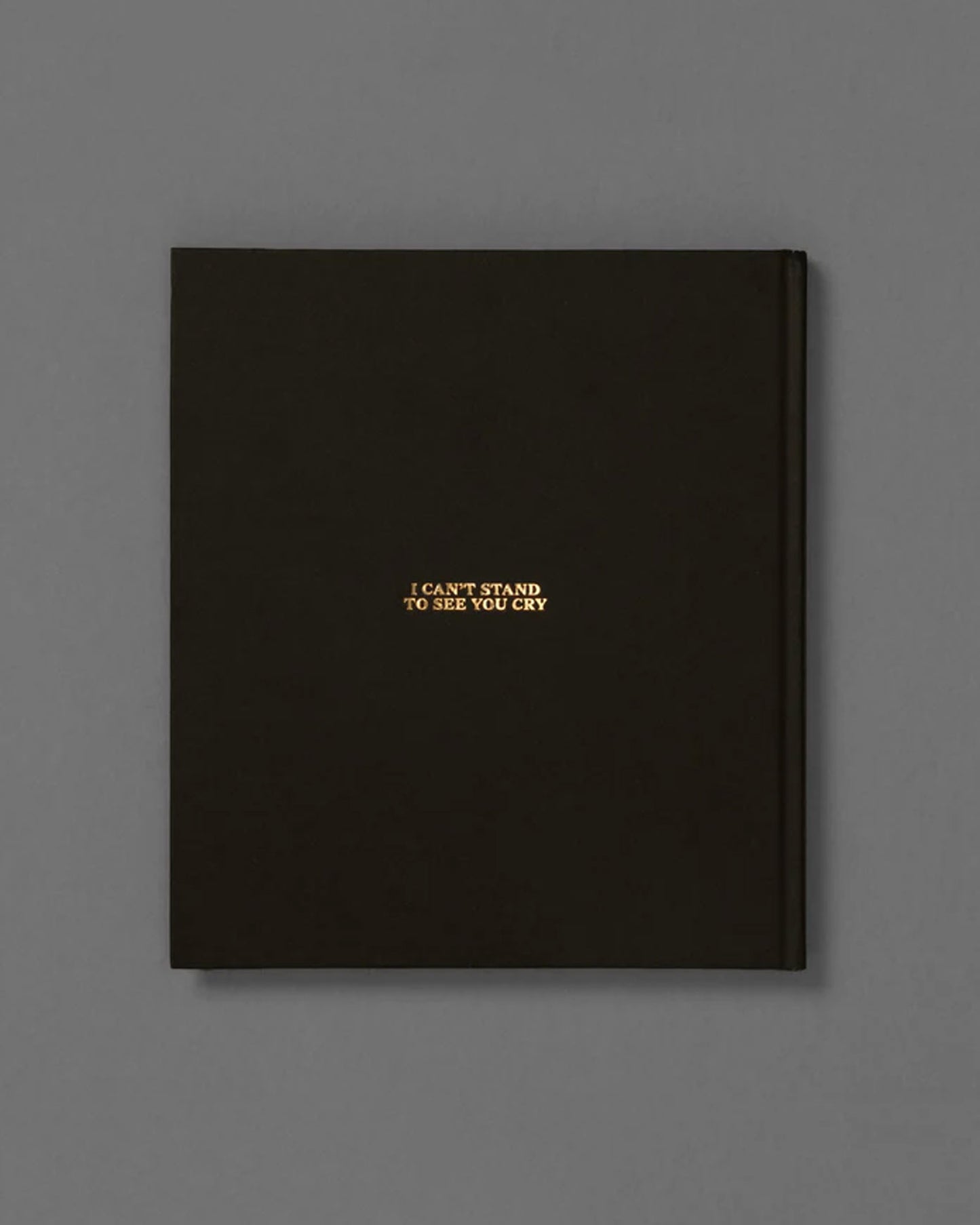 I can't stand to see you cry