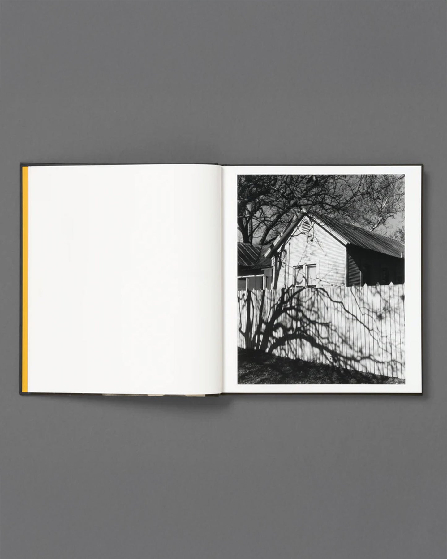 I can't stand to see you cry