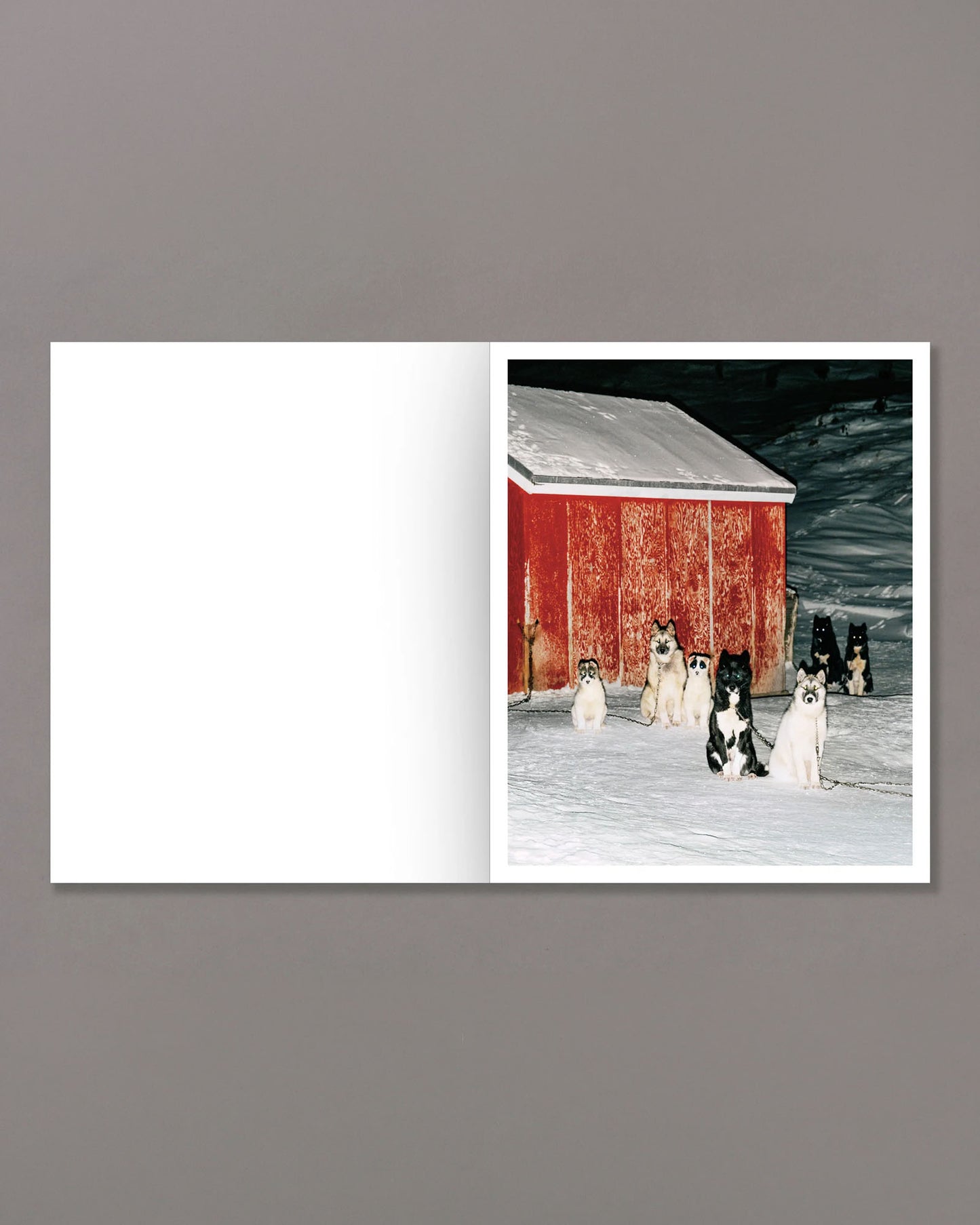 To Skip a Sinking Stone (PRE-ORDER)