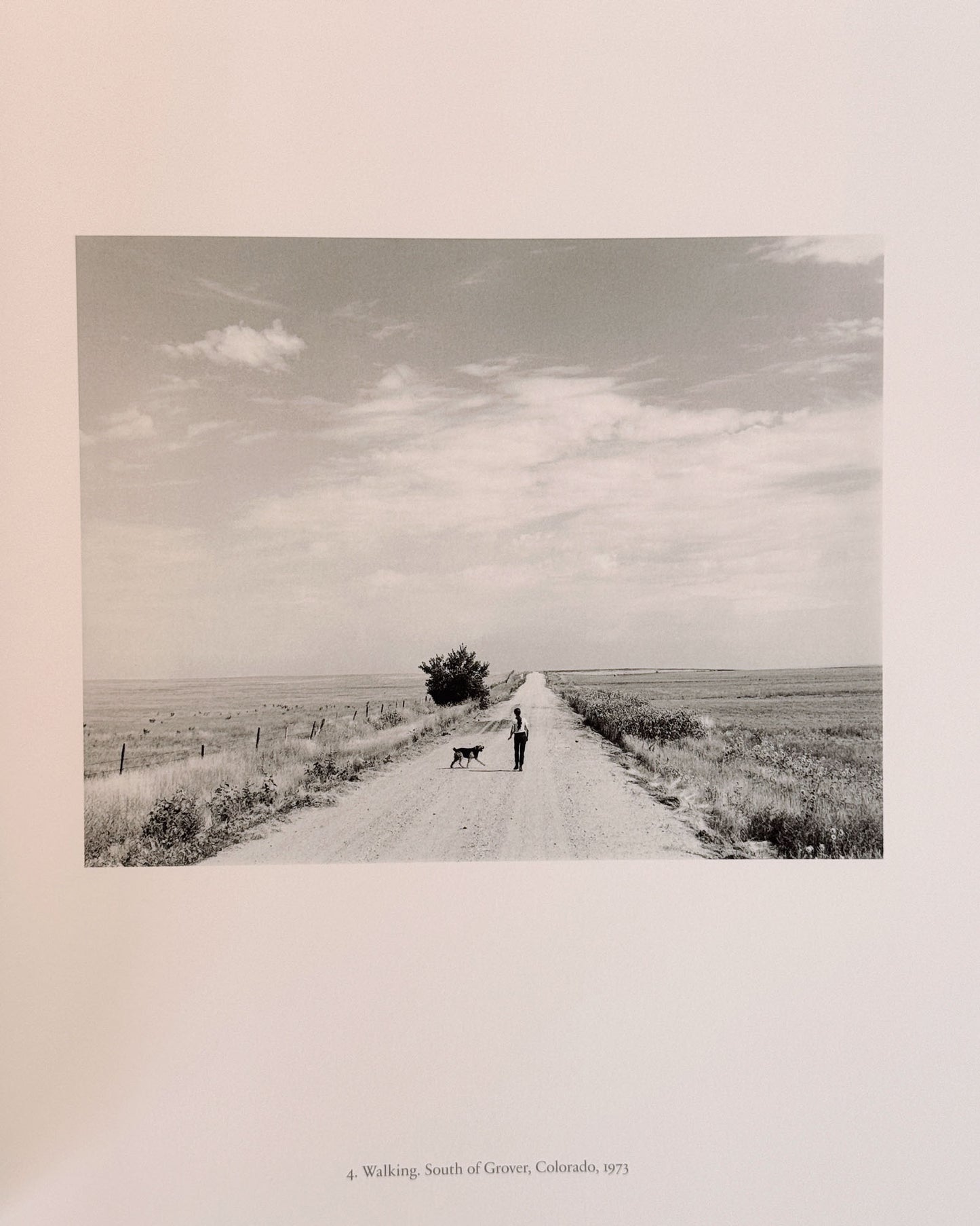 Robert Adams: Contact