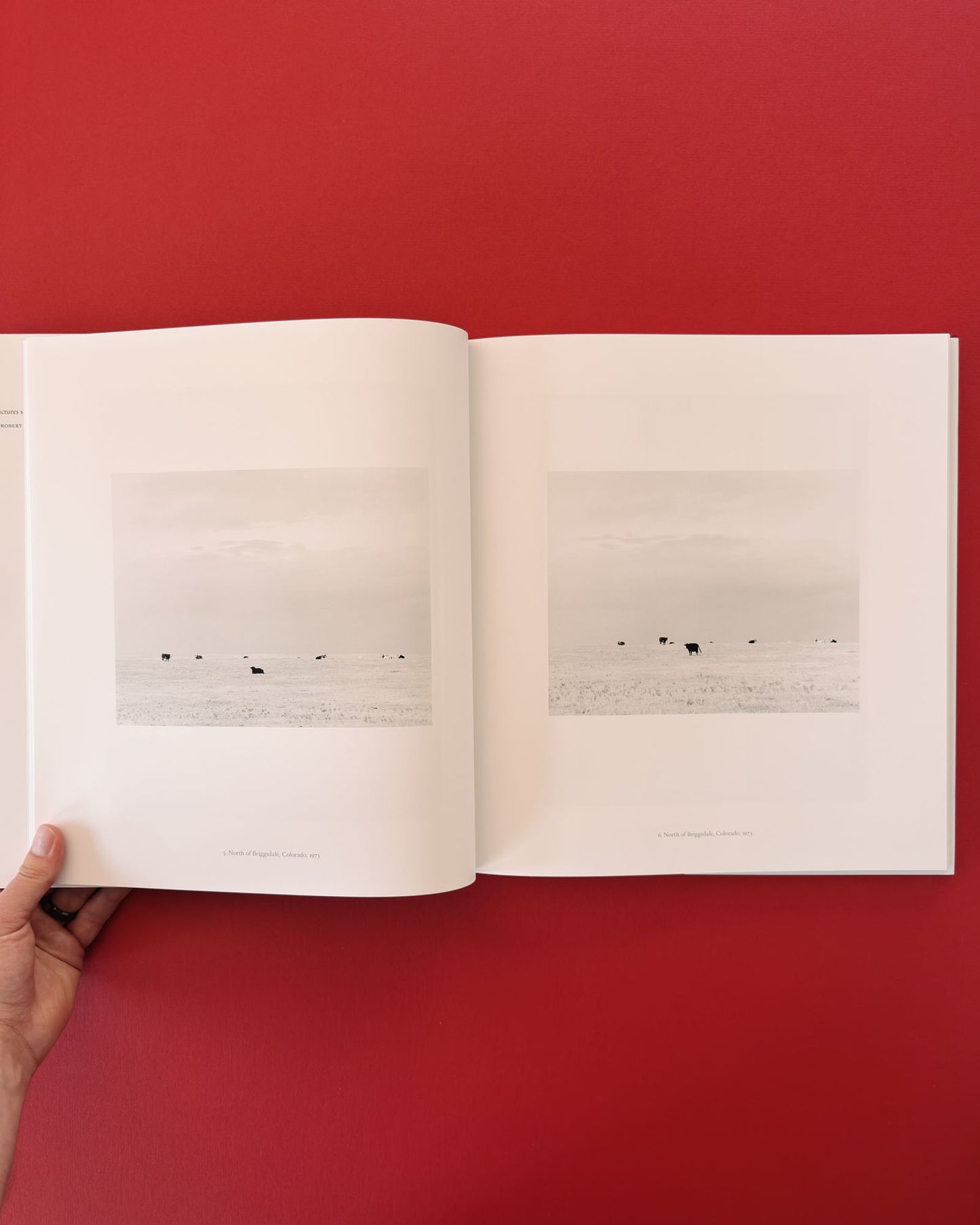 Robert Adams: Contact