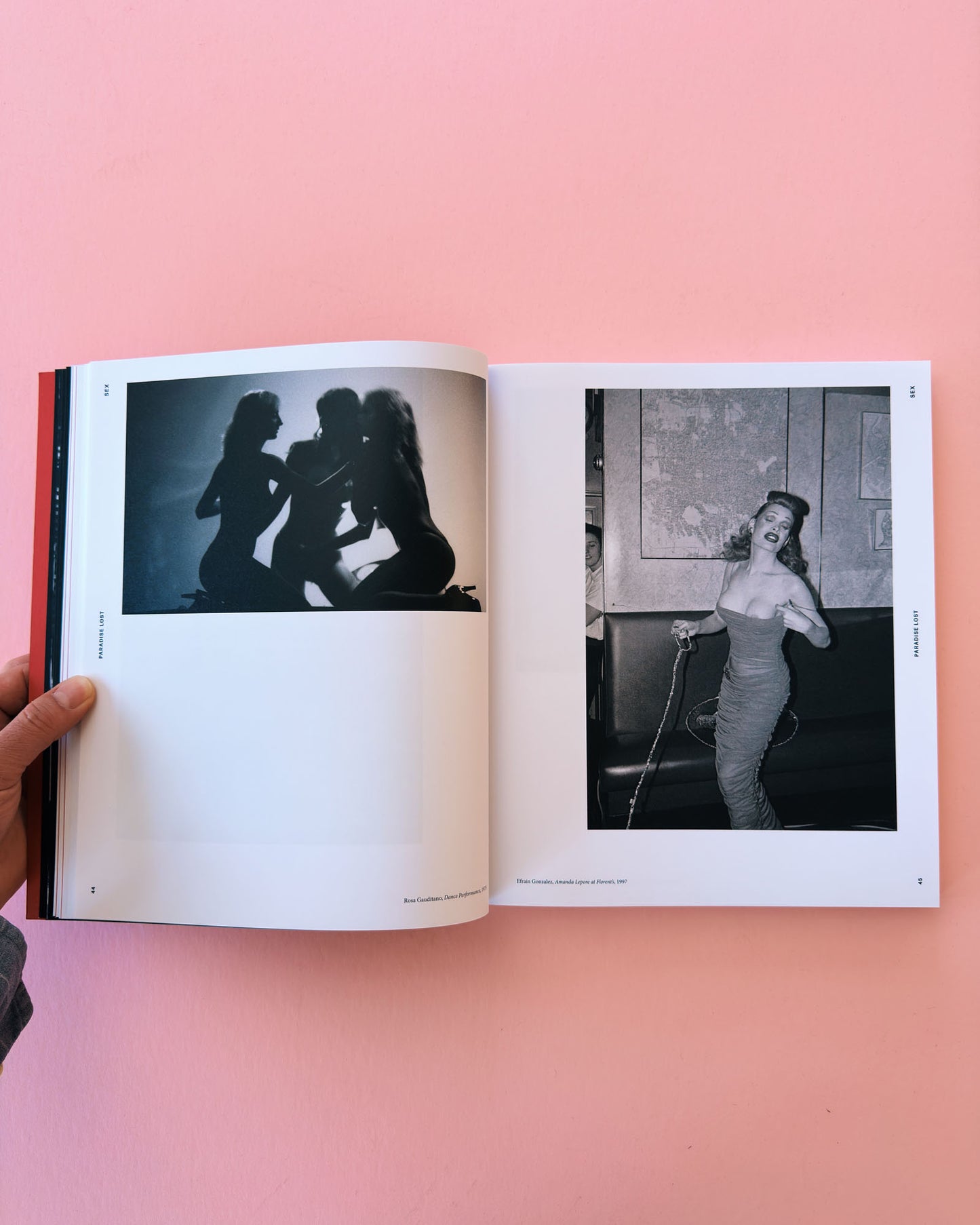 Sex, Clubs, Dissent: Visualising Queer Nightlife