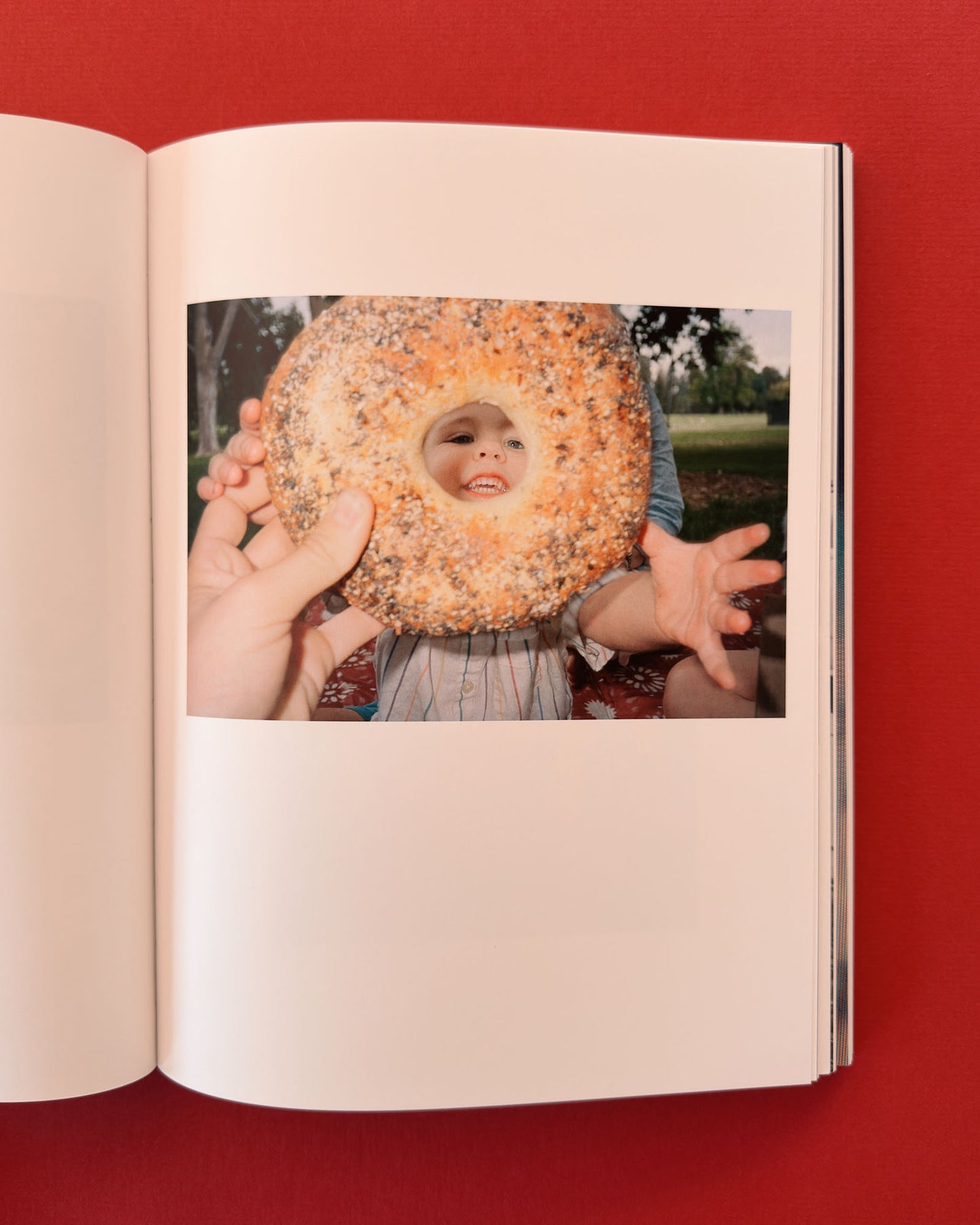 Son Pictures