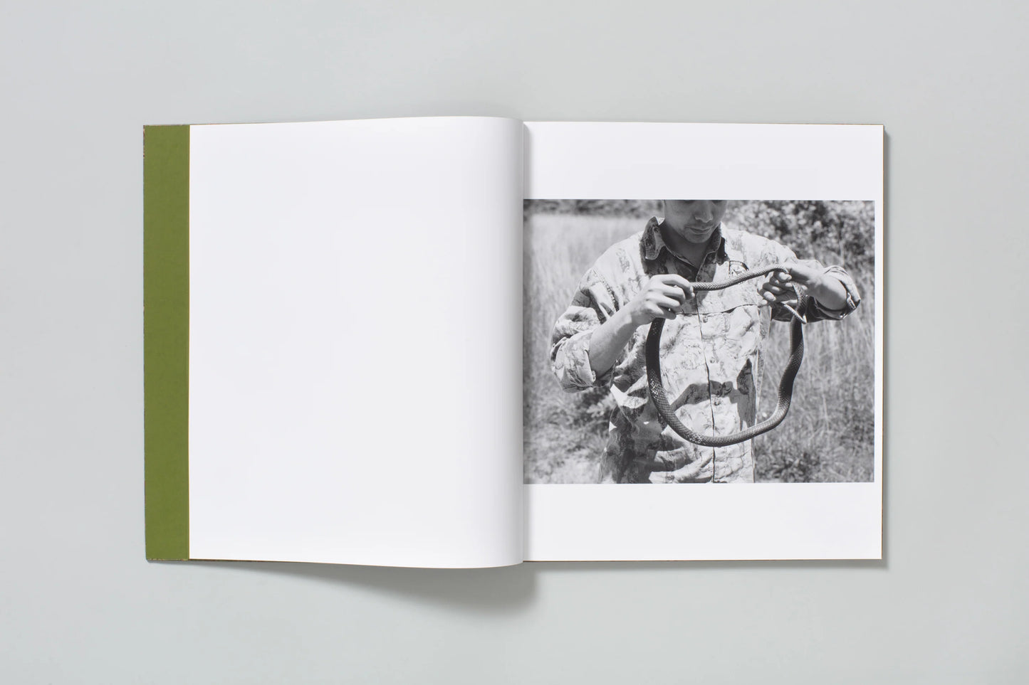 Blood Green (Signed)