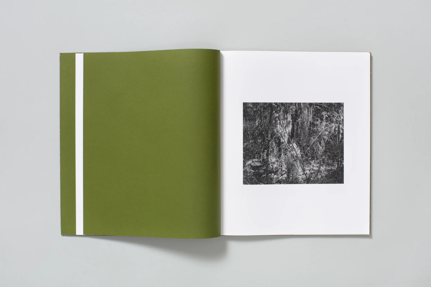 Blood Green (Signed)