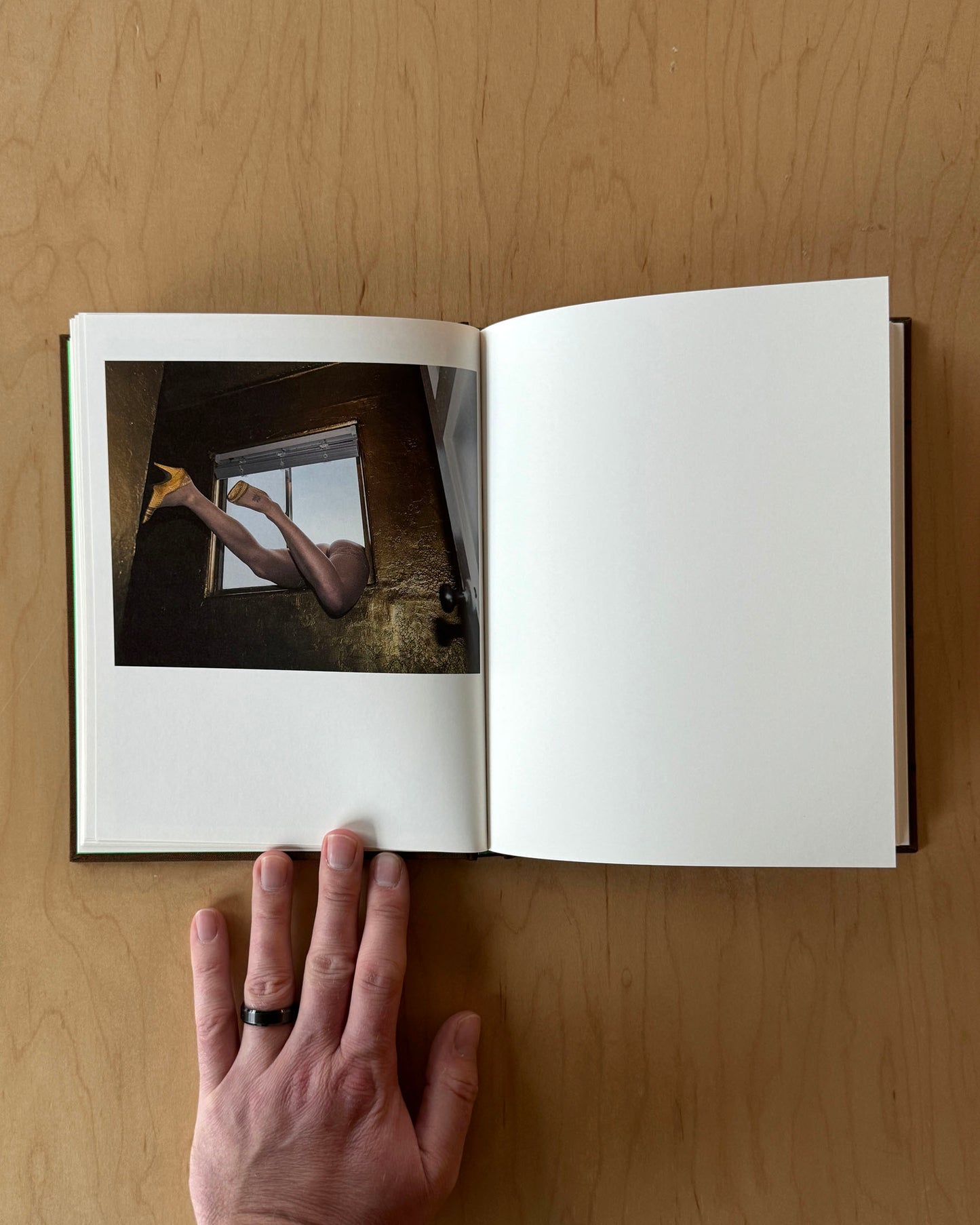 The Color of Money and Trees