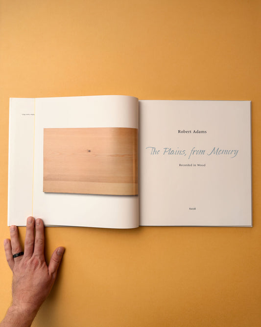 THE PLAINS, FROM MEMORY by Robert Adams