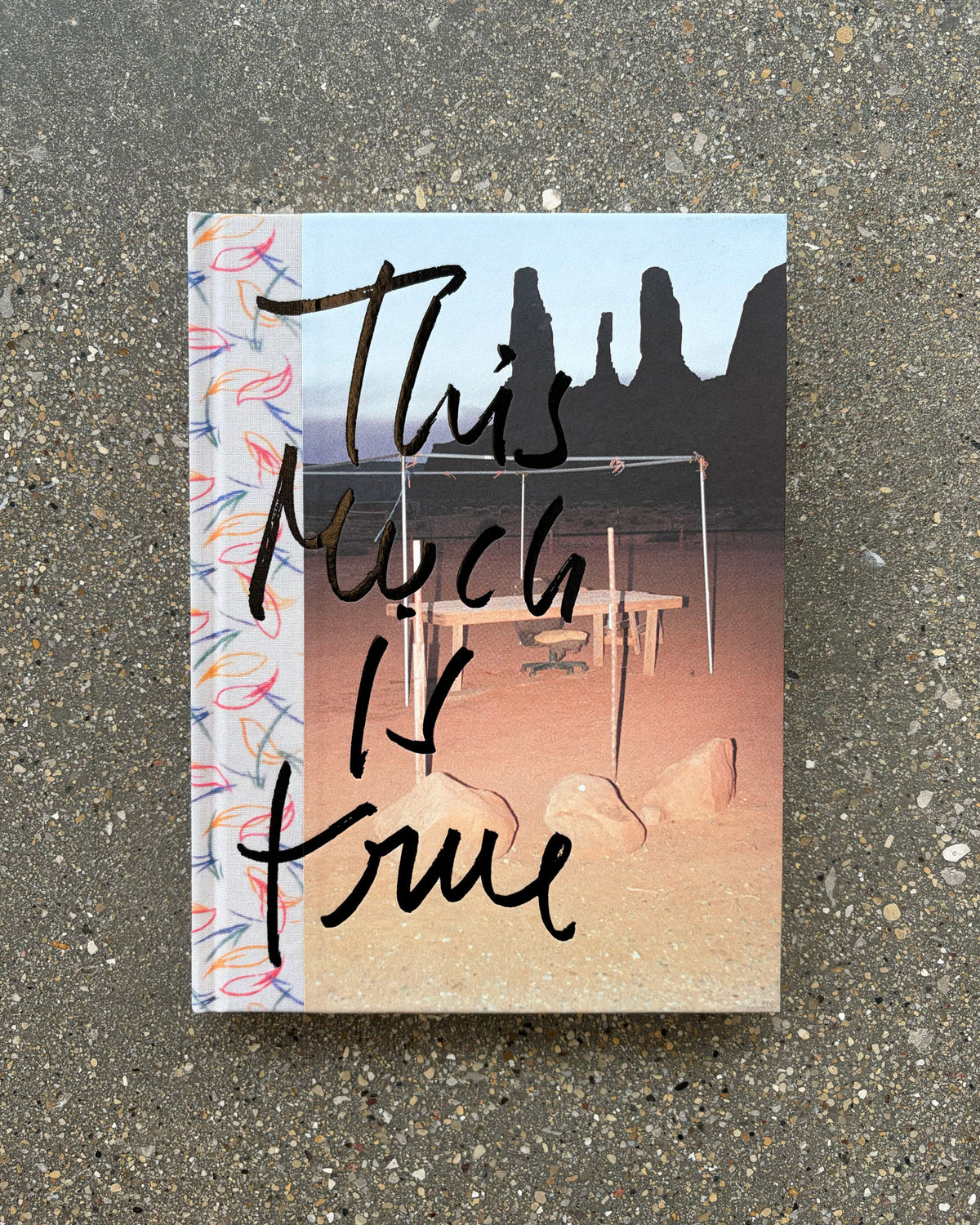 THIS MUCH IS TRUE by Albert Elm