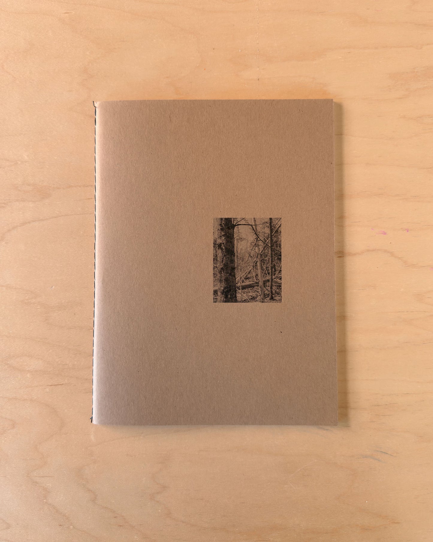 TIS02: (untitled)