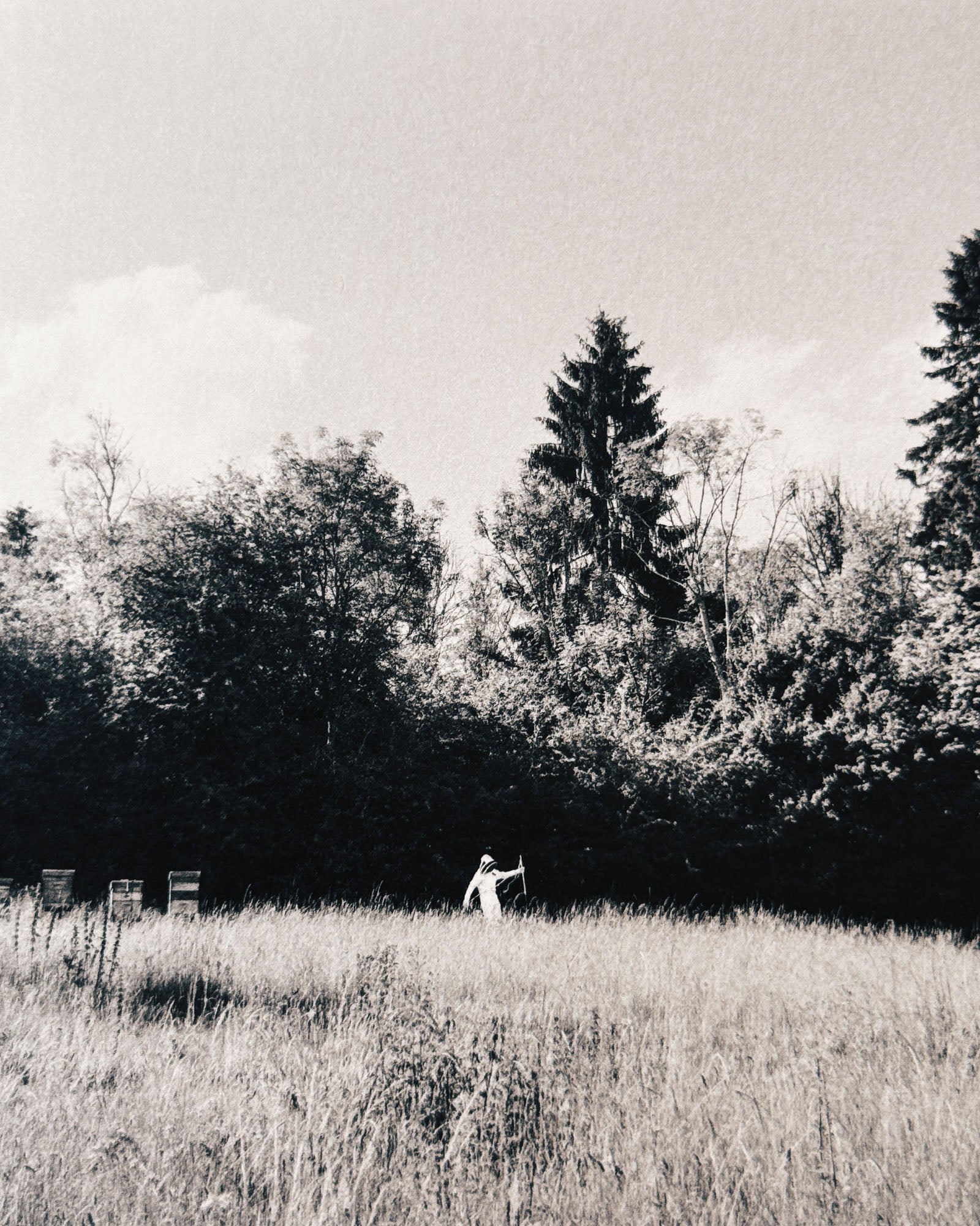 Photo Book from Yorgos Lanthimos made during the filming of Bugonia. A beguiling collection of still photographs made around the sets and locations of his 2025 feature film. Published by Mack.