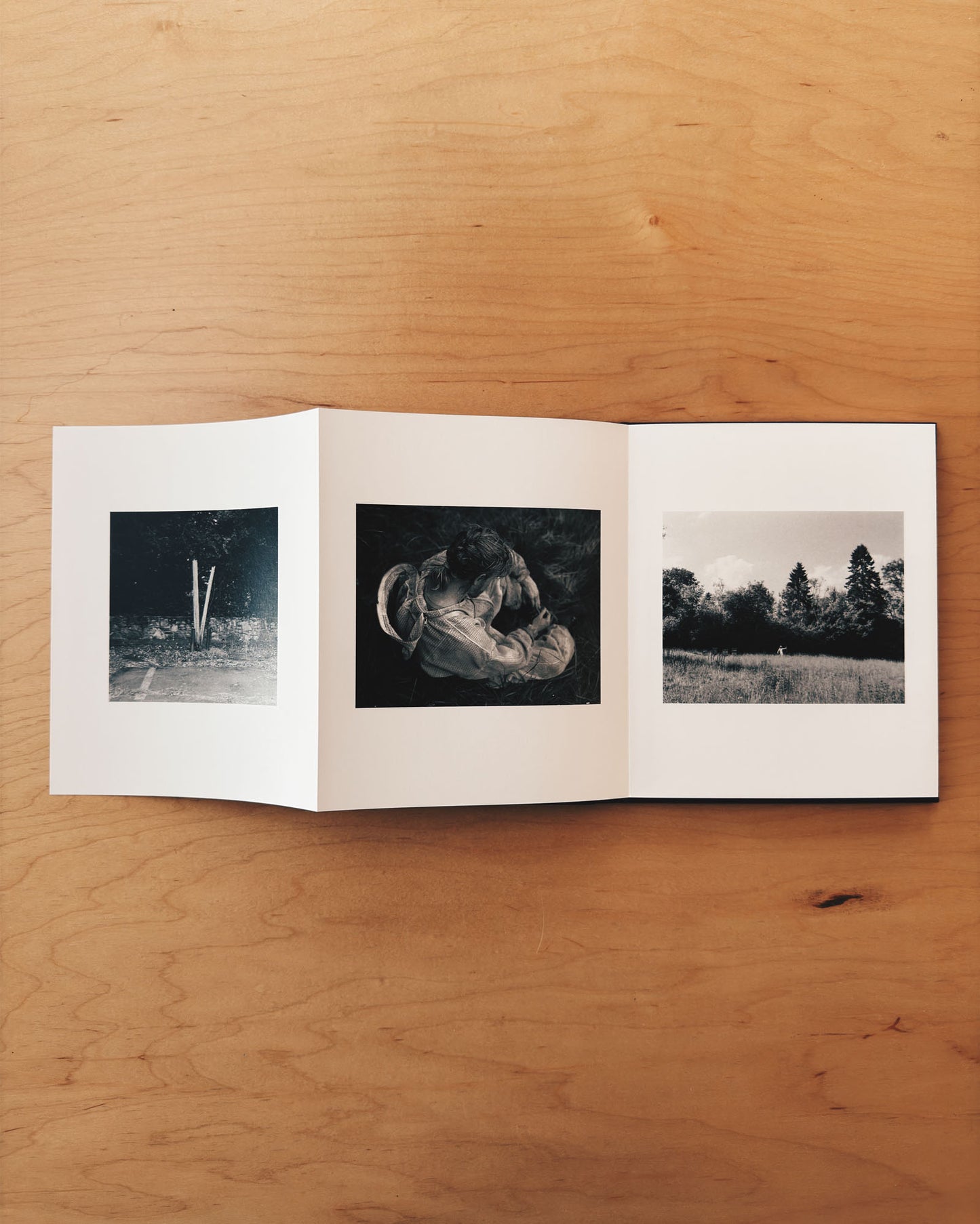 Photo Book from Yorgos Lanthimos made during the filming of Bugonia. A beguiling collection of still photographs made around the sets and locations of his 2025 feature film. Published by Mack.