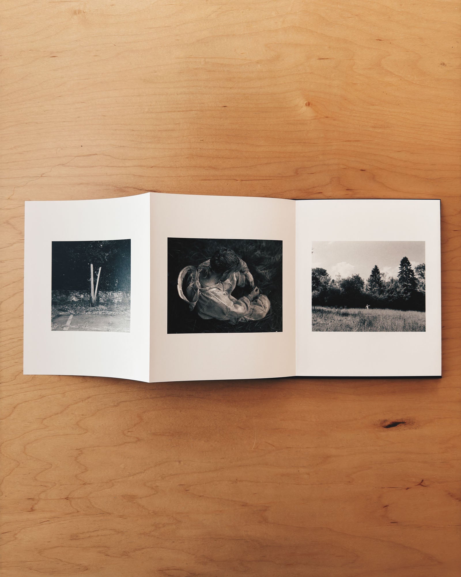 Photo Book from Yorgos Lanthimos made during the filming of Bugonia. A beguiling collection of still photographs made around the sets and locations of his 2025 feature film. Published by Mack.