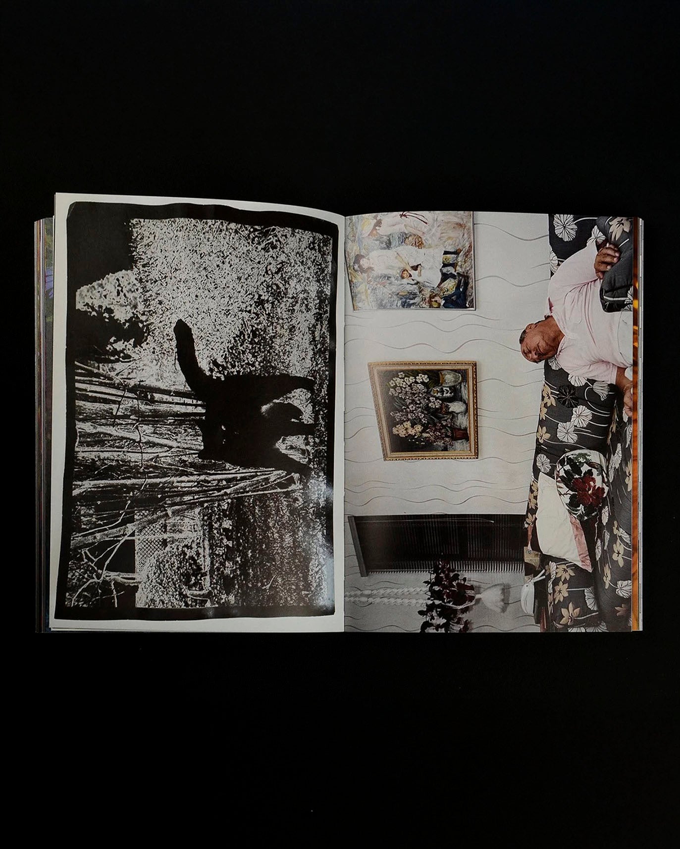 What if Jeff were a butterfly?