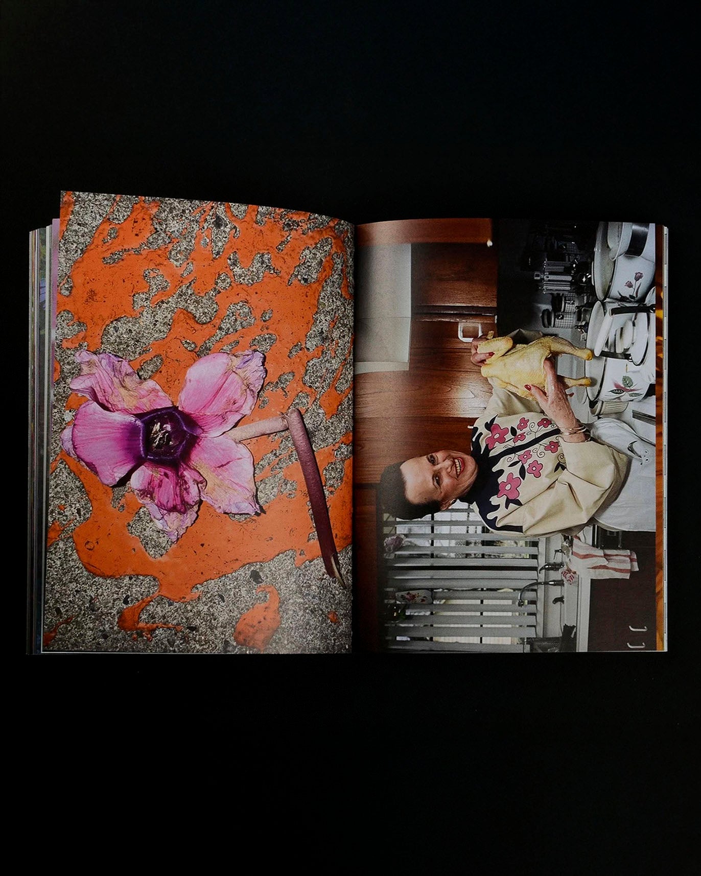 What if Jeff were a butterfly?