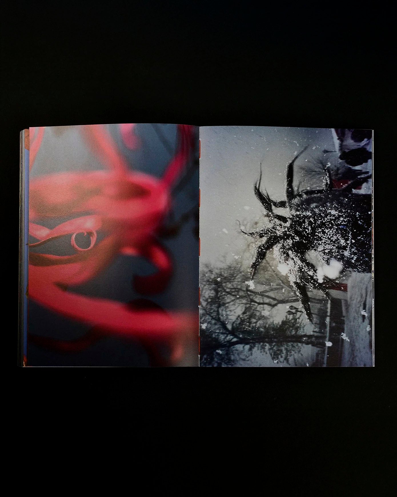 What if Jeff were a butterfly?