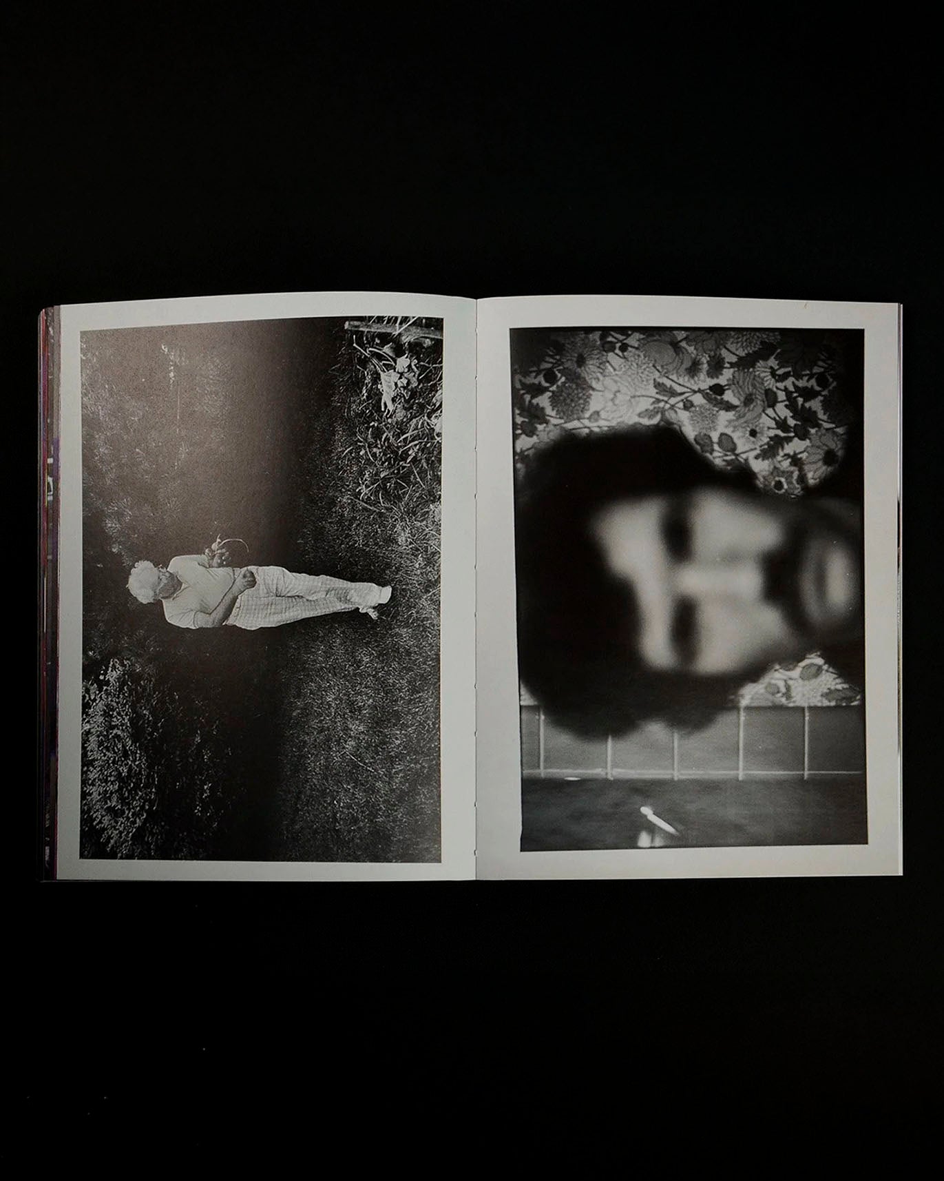 What if Jeff were a butterfly?