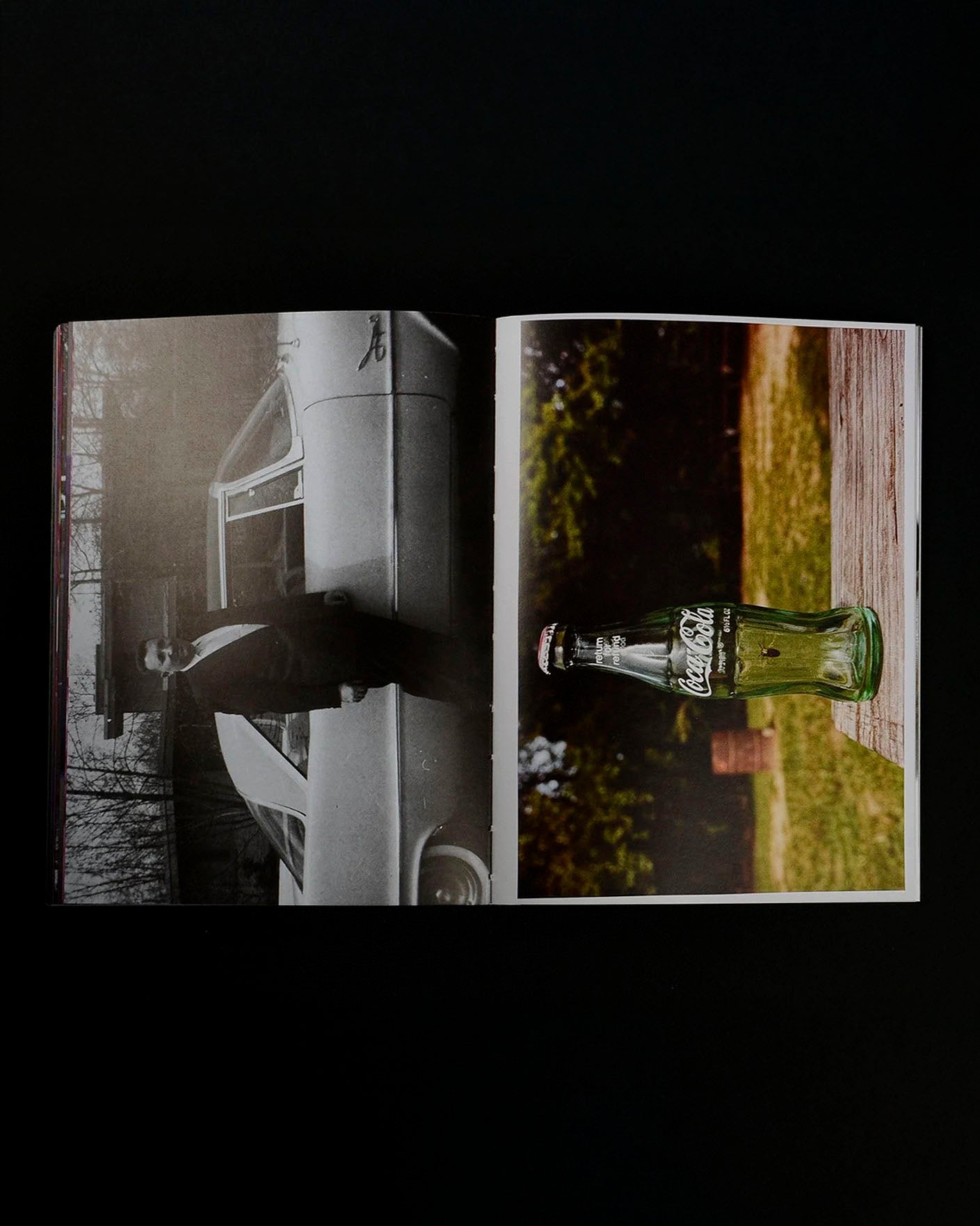 What if Jeff were a butterfly?