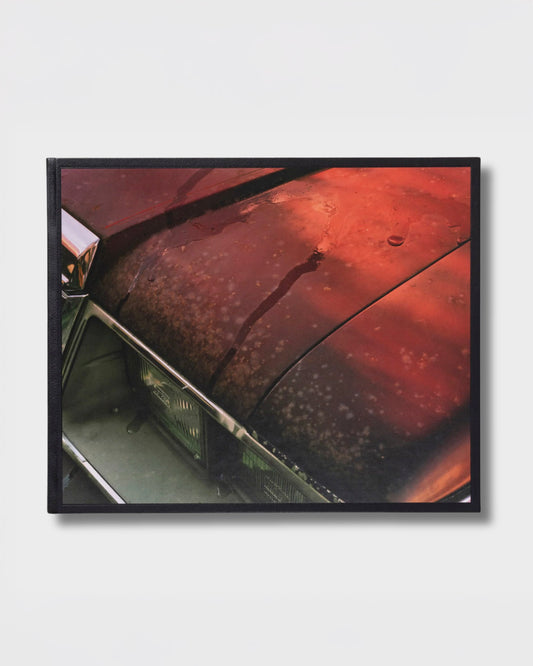 Windscreen