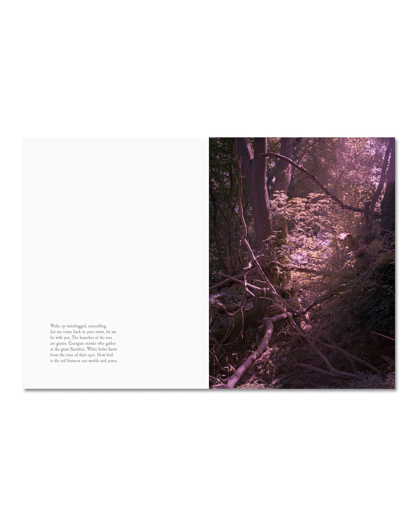 Even as a Shadow, Even as a Dream (PRE-ORDER)