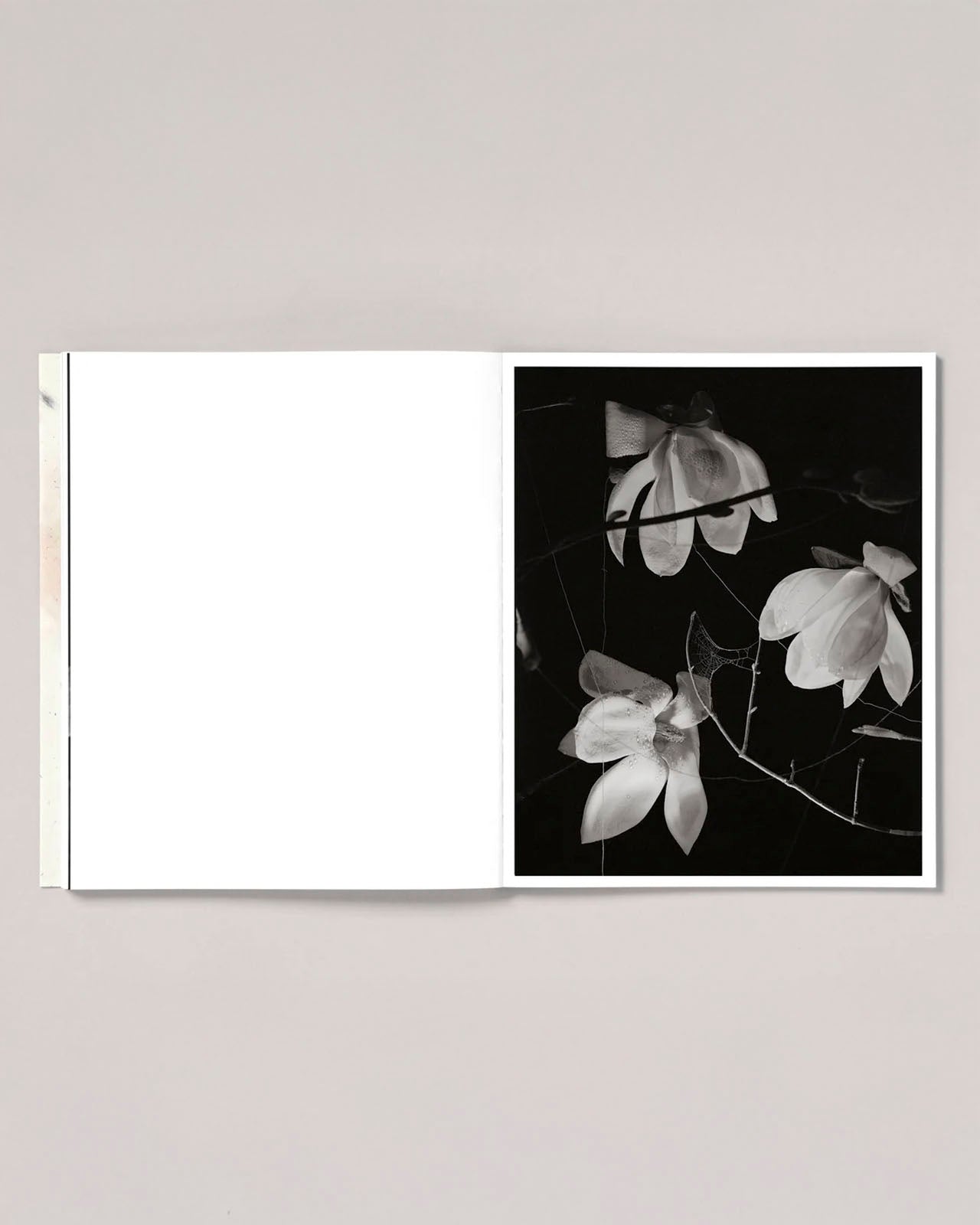 At Night Gardens Grow (Second Edition) (PRE-ORDER)